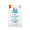 Croquette Chien-Brit Care Hypoallergénique pour Chiot à l'Agneau et au Riz 3kg-Tunisie