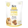 Friandises Chien-Brit Care Mini Friandise SHINE 50 g-Tunisie