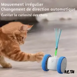 Chats-Tunisie