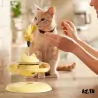 Jouets Chat-Jouet Distributeur de Friandises Rotatif pour Chat – Plateau Interactif Antistress-Tunisie