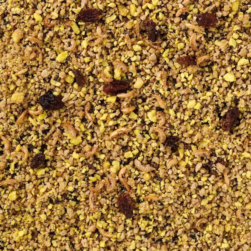 Alimentation Oiseaux-Deli Nature Pâtée aux œufs Grandes Perruches & Perroquets Grasse 800gr-Tunisie