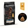 Croquette Chien-PRO PLAN LARGE ATHLETIC AUDLT DOG CHICKEN 14KG-Tunisie