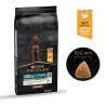 Croquette Chien-PRO PLAN LARGE ATHLETIC PUPPY CHICKEN 12KG-Tunisie