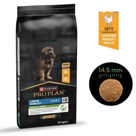 Croquette Chien-PRO PLAN LARGE ROBUST PUPPY CHICKEN 12KG-Tunisie