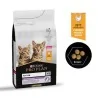 Croquettes Chat-Purina Pro Plan – Croquettes Kitten au Poulet pour Chaton en Croissance – 1,5 kg-Tunisie