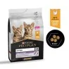 Croquettes Chat-Purina Pro Plan – Croquettes Kitten au Poulet pour Chaton en Croissance – 3 kg-Tunisie
