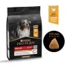 Croquette Chien-Purina Pro Plan – Croquettes Medium Adult au Poulet pour Chien Adulte de Taille Moyenne – 3 kg-Tunisie