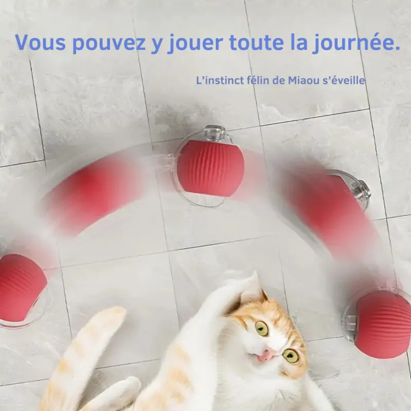 Jouets Chat-Jouet Interactif Électrique pour Chat – Balle Rotative Automatique avec Corde-Tunisie