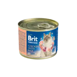 Humides Chat-Tunisie