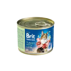 Humides Chat-Tunisie