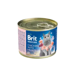 Humides Chat-Tunisie