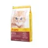 Croquettes Chat-JOSERA Kitten 8kg + 2kg Gratuit-Tunisie