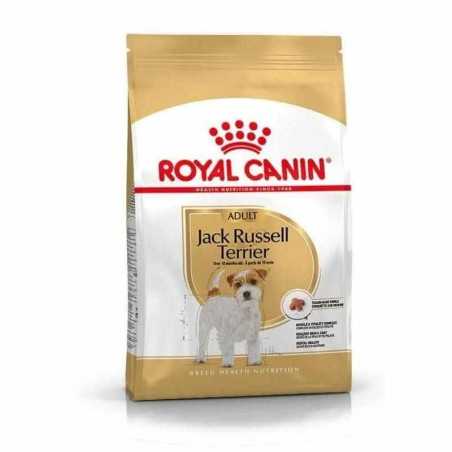 Royal Canin CHIEN Jack Russel Adult 3 Kg