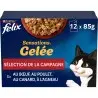 Humides Chat-FELIX - Sensations en Gelée - Sélection Campagne 12*85g-Tunisie
