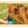 Gamelles et Distributeurs-Gourde avec Bol intégré pour chien 500 ml-Tunisie