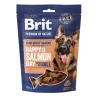 Friandises Chien-Brit Premium By Nature friandises tendres au Saumon et à l'Aneth 180g-Tunisie