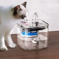 Fontaine à eau automatique pour chat