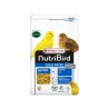 Alimentation Oiseaux-Nutribird Gold Patee Canaris Expert 1Kg-Tunisie