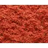 Alimentation Oiseaux-Nutribird Gold Patee birds à Facteurs Rouge 1Kg-Tunisie