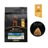 Croquette Chien-PRO PLAN LARGE ATHLETIC PUPPY CHICKEN 3KG-Tunisie