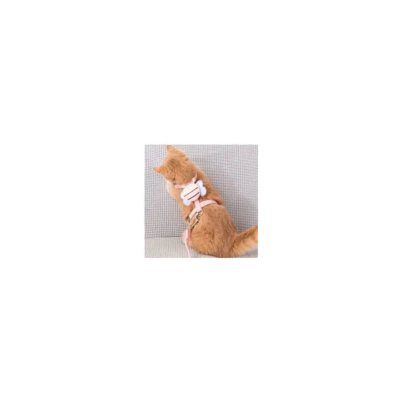 Collier Chat-Harnais chats et chiens forme abeille différents coloris-Tunisie