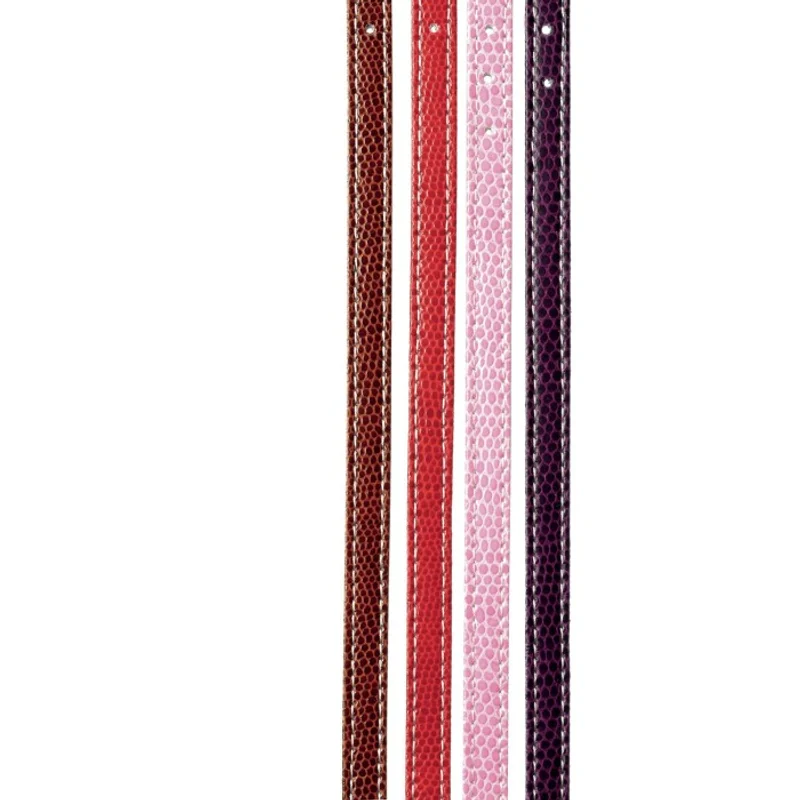Camon collier chien en similicuir