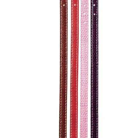 Camon collier chien en similicuir