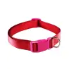 Collier Chien UNI Rouge 1 cm