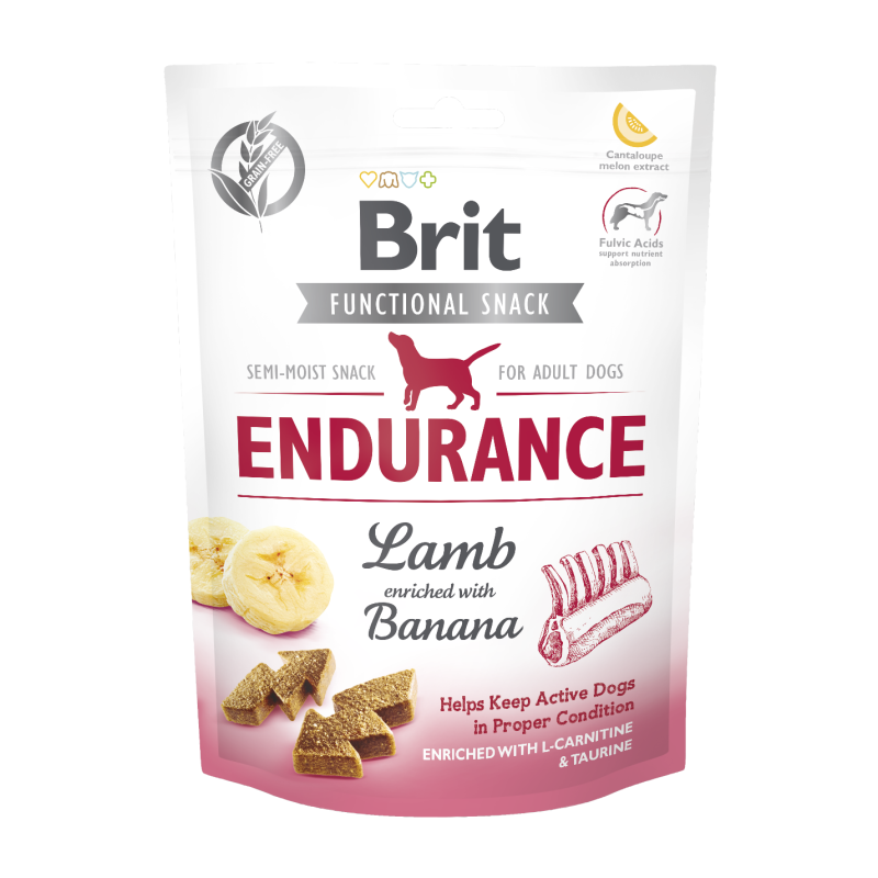 protein shake with l-carnitine Applied Nutrition L Carnitine 3000 Liquid - Energy & Weight Management  Vegan Formula with Green Tea & Vitamin C (480ml - Sour Apple) | Buy Now  with Express International Delivery main image 0