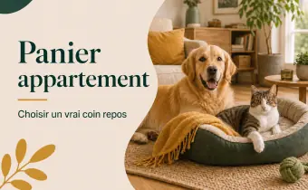 Quel panier choisir pour un chien ou un chat en appartement ?