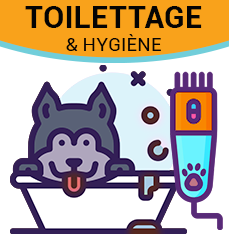 Toilettage et Hygiène